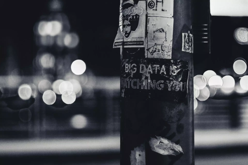 ev gpjvrzyavzc unsplash